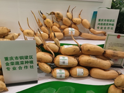 重慶農(nóng)產(chǎn)品地理標(biāo)志展區(qū)