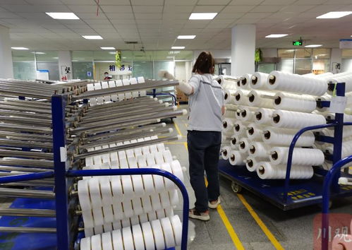 走進(jìn)區(qū)域看發(fā)展丨川渝向 新 而行 新材料產(chǎn)業(yè)跑出 加速度