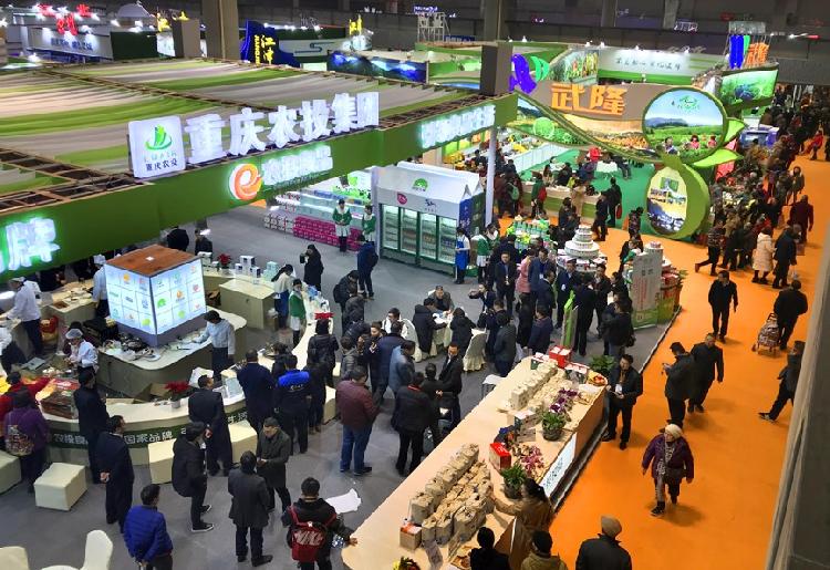 西部農(nóng)交會開幕 6500多種農(nóng)產(chǎn)品等你一站購年貨